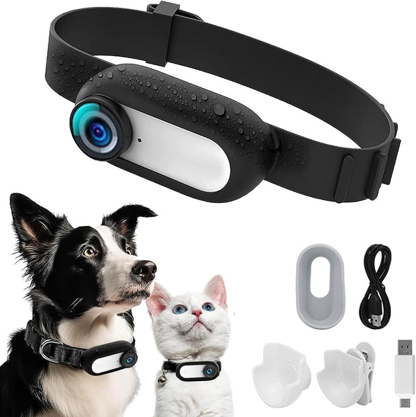 Pet cat and dog collar camera outdoor sports camera mini body camera